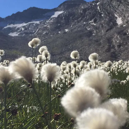 Apartamento Alea Saas-Grund