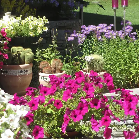 Alea Apartamento Saas-Grund