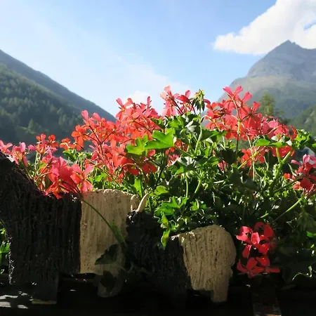 Alea Saas-Grund