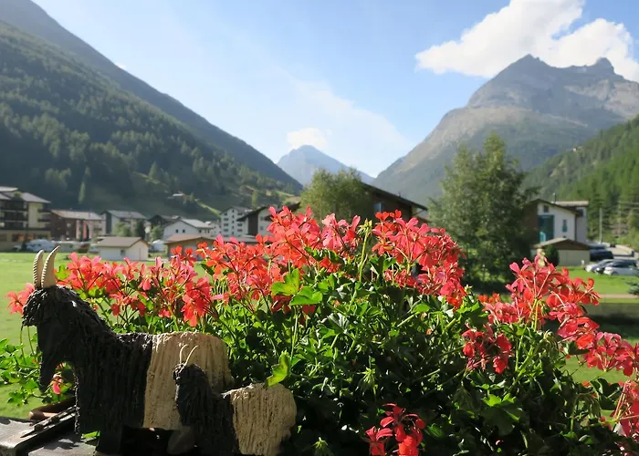 阿里菲林旅馆 * 萨斯格伦德