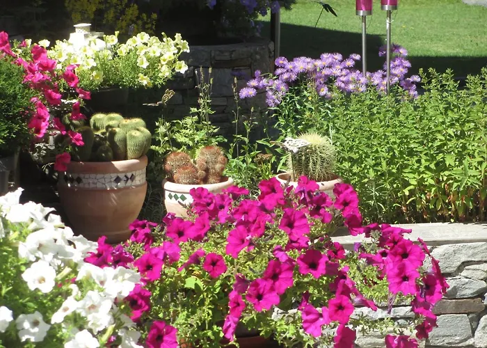 阿里菲林旅馆 公寓 萨斯格伦德