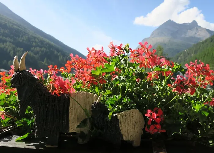 阿里菲林旅馆 萨斯格伦德