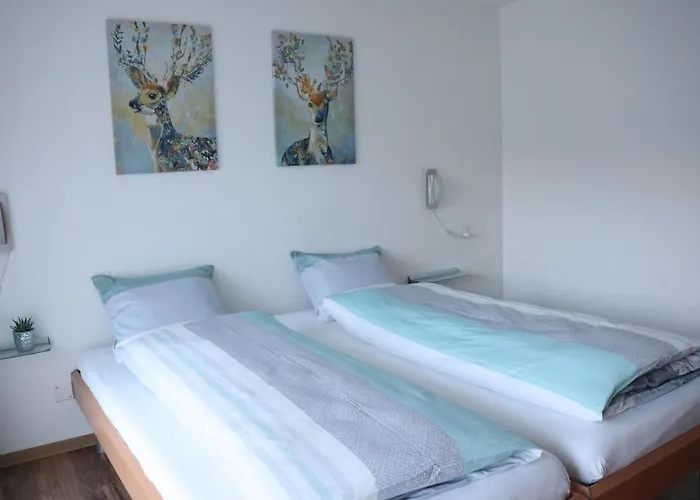 阿里菲林旅馆 公寓 *